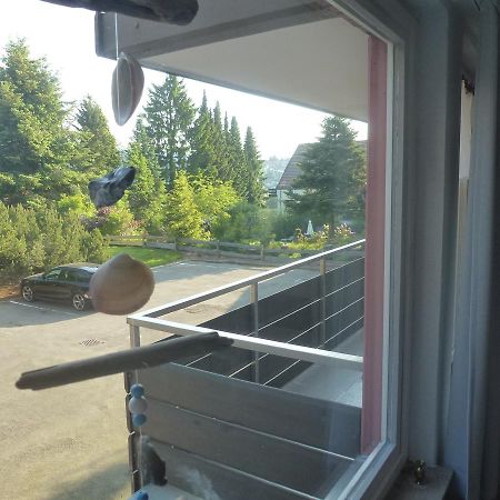 Moderne, Ruhige Ferienwohnung In Braunlage Harz Inkl Wlan & Netflix Εξωτερικό φωτογραφία