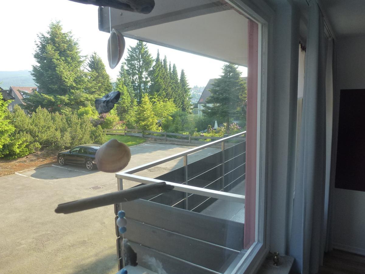 Moderne, Ruhige Ferienwohnung In Braunlage Harz Inkl Wlan & Netflix Εξωτερικό φωτογραφία