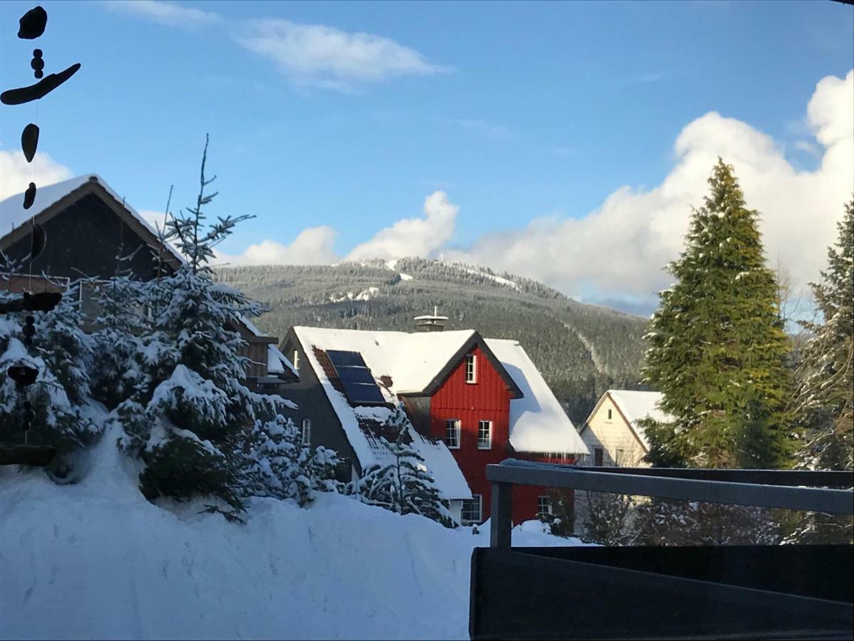 Moderne, Ruhige Ferienwohnung In Braunlage Harz Inkl Wlan & Netflix Εξωτερικό φωτογραφία